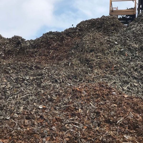 WhatsApp Image 2026-01-02 at 2.34.08 PM (1)